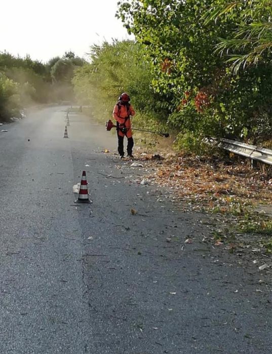 Curatarea defrisare terenuri lasate in paragina