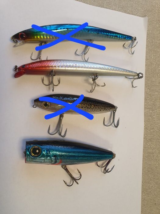 Морски воблери за риболов/Bass Dream/Strike Pro