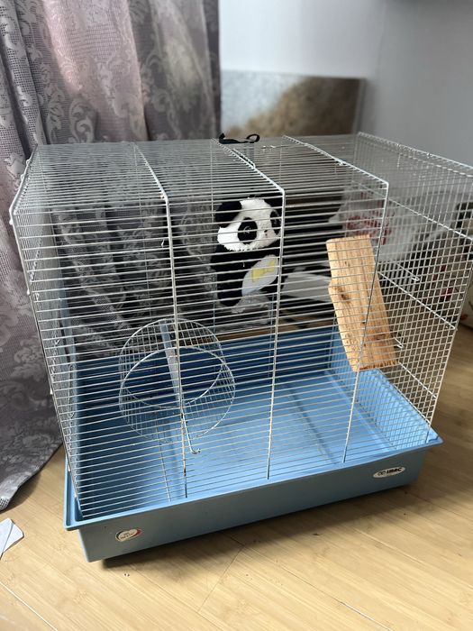 Accesorii pentru animale