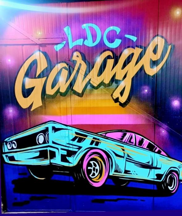 Service Auto ( Mecanica și Electrica)