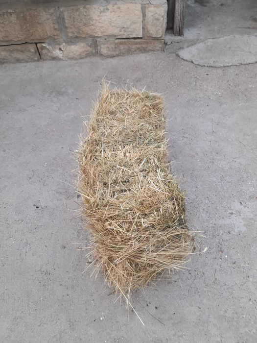 Бали сено продавам