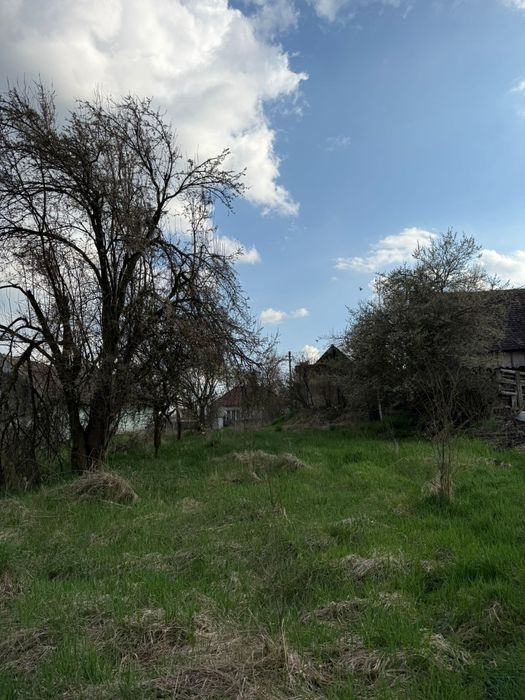 Casă de vânzare (Valea Hartibaciului)