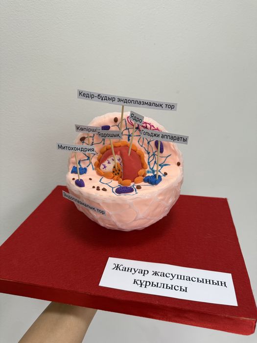 Макеты на разные тематики от 5000
