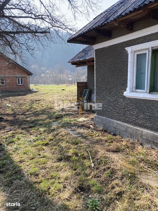 Casa cu teren Negulesti 3400mp