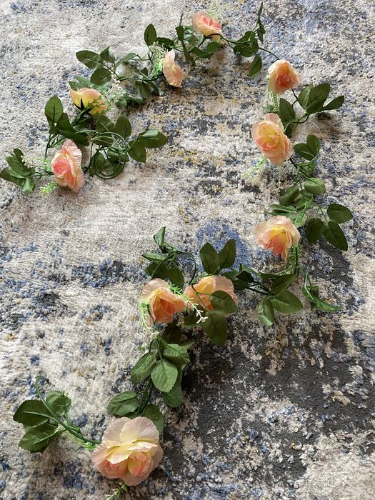 Декоративные цветы