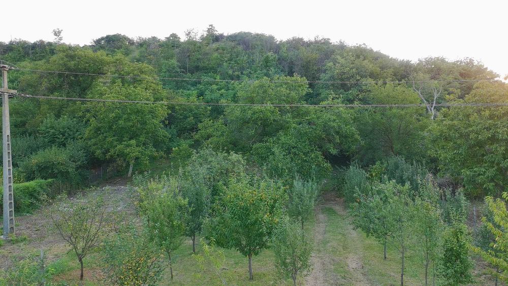 Ocazie! Teren Superb Intravilan Vernesti Cu Toate Utilitatile | Gaze | Padure | Liniste 3570mp