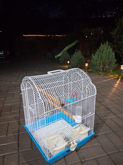 Colivie pentru păsări (papagali, peruși etc)