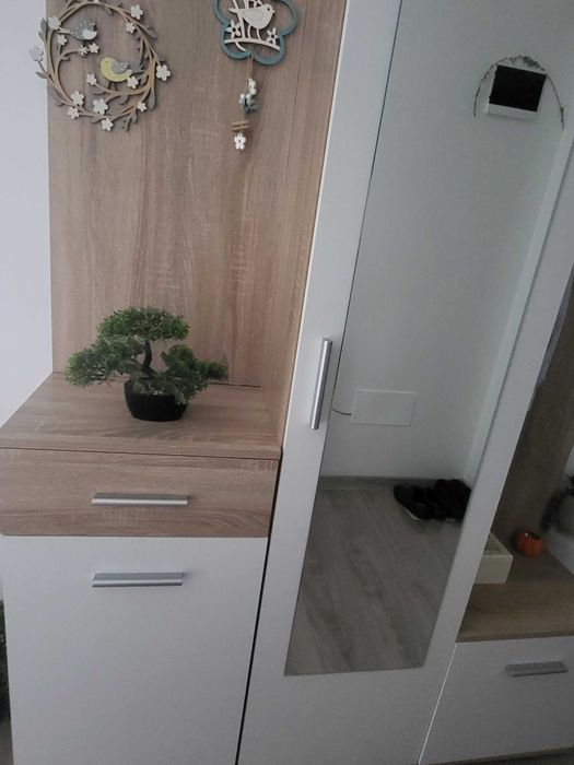 Vand Cuier haine+masa plianta+lustra   1.000 lei
