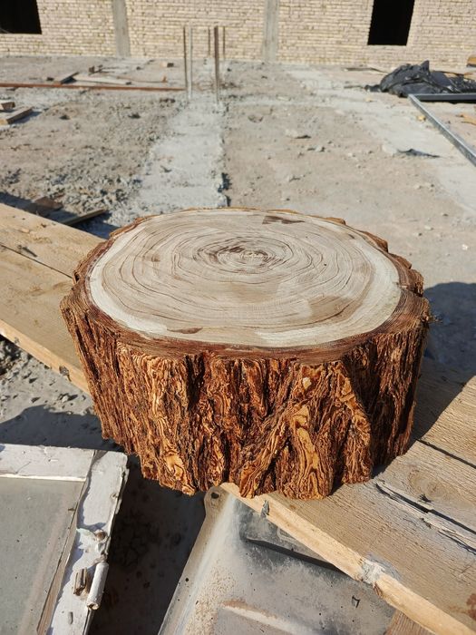 Hoʼna, toza oʻris daraxtinnan kasilgan