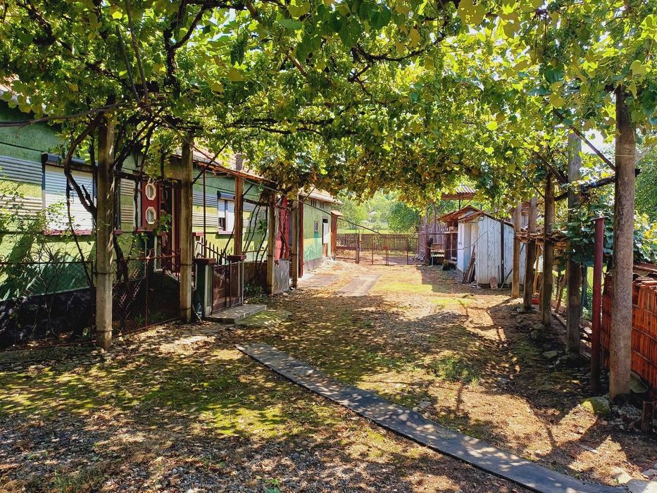 Vand Casa cu gradina