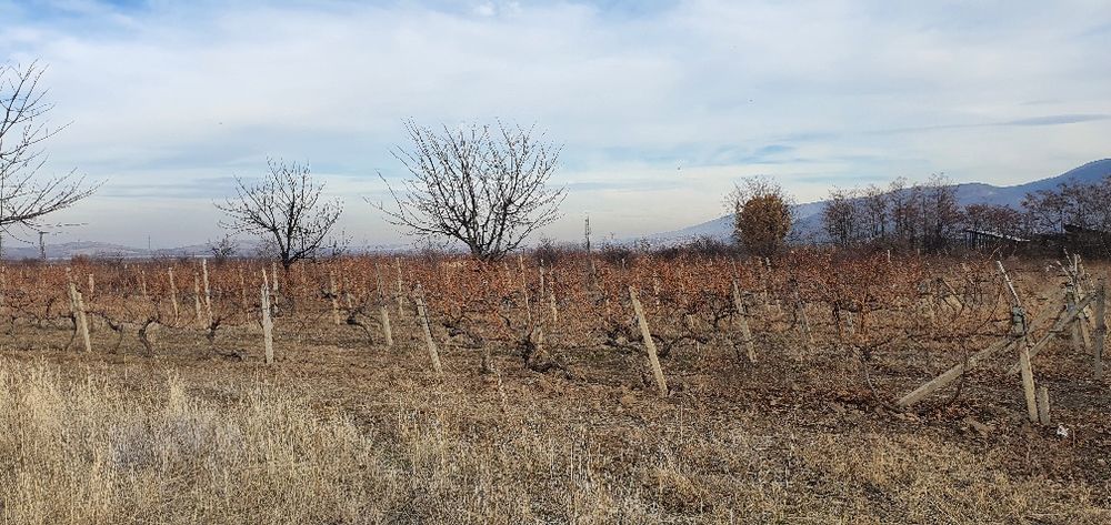 Продава се Земеделски имот в с. Устина, Област Пловдив -  кв.м за 3825 €/дка - Снимка #4