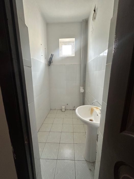 Katej kotej катеж