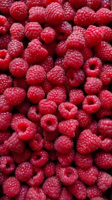 Продам черенки малины