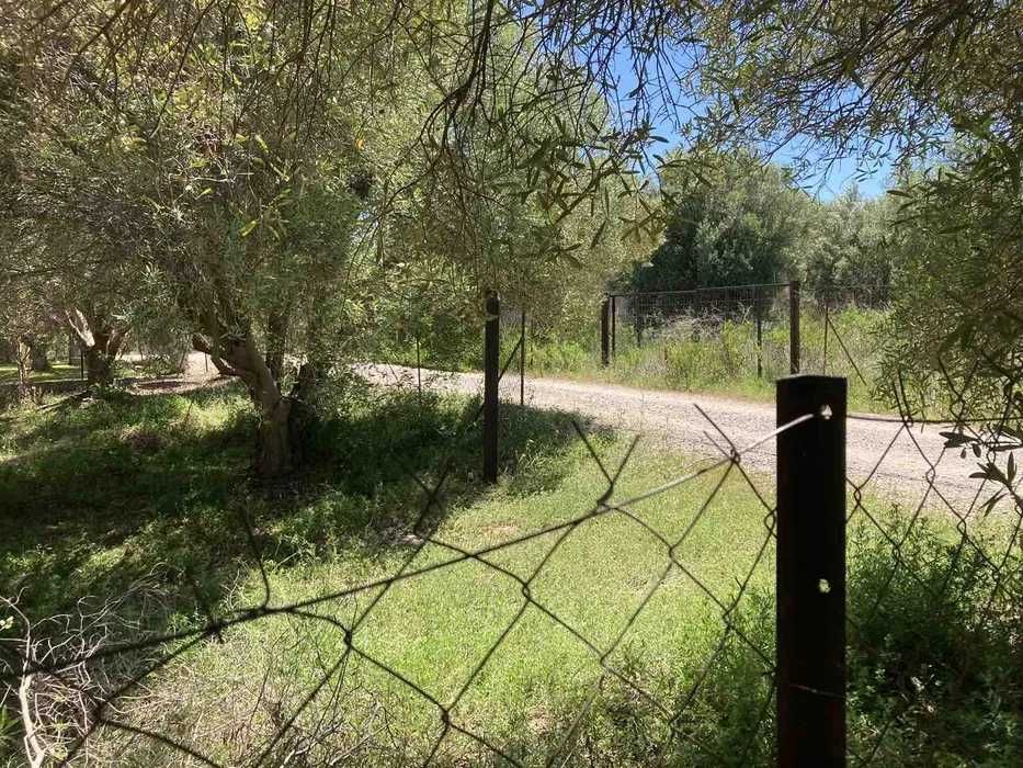 Парцел в Гърция - Халкидики - 560 м2