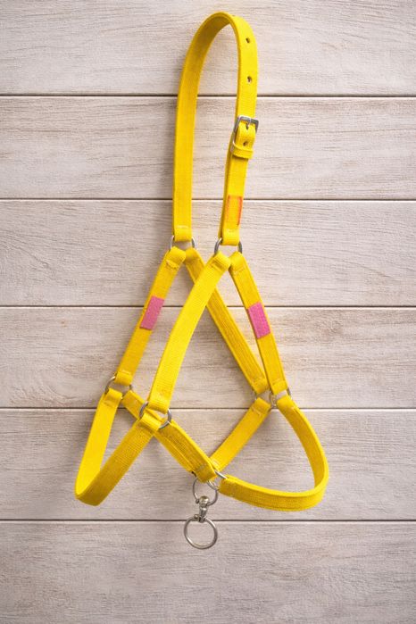 Атқа арналған ноқталар