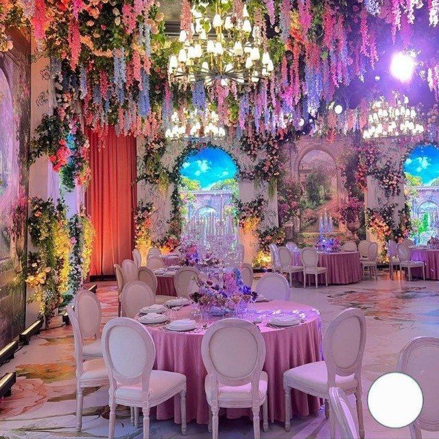 Prakat stol stul, прокат стол стул