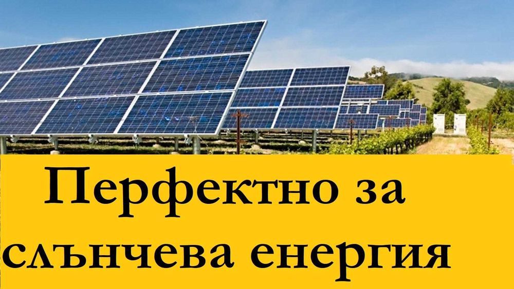 Къща, земя и малка гора – на 20 минути от град Плевен. Перфектно за слънчева енергия