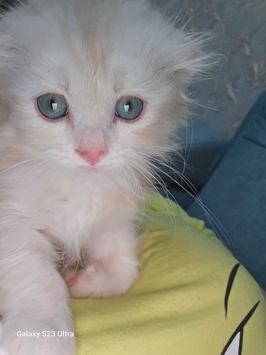 Yumshoq va oson jinsiy aloqa