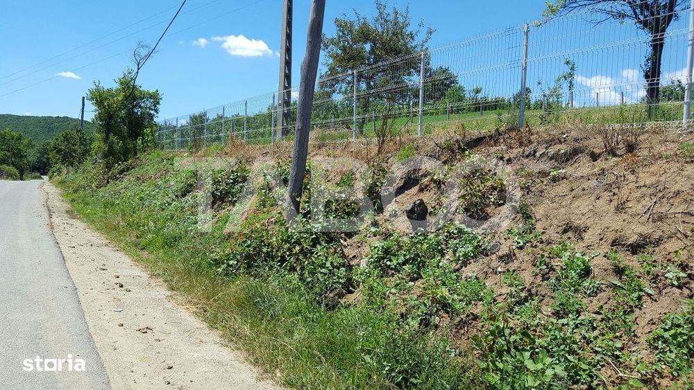 Teren 1974 mp intravilan de vanzare in Loman judetul Alba