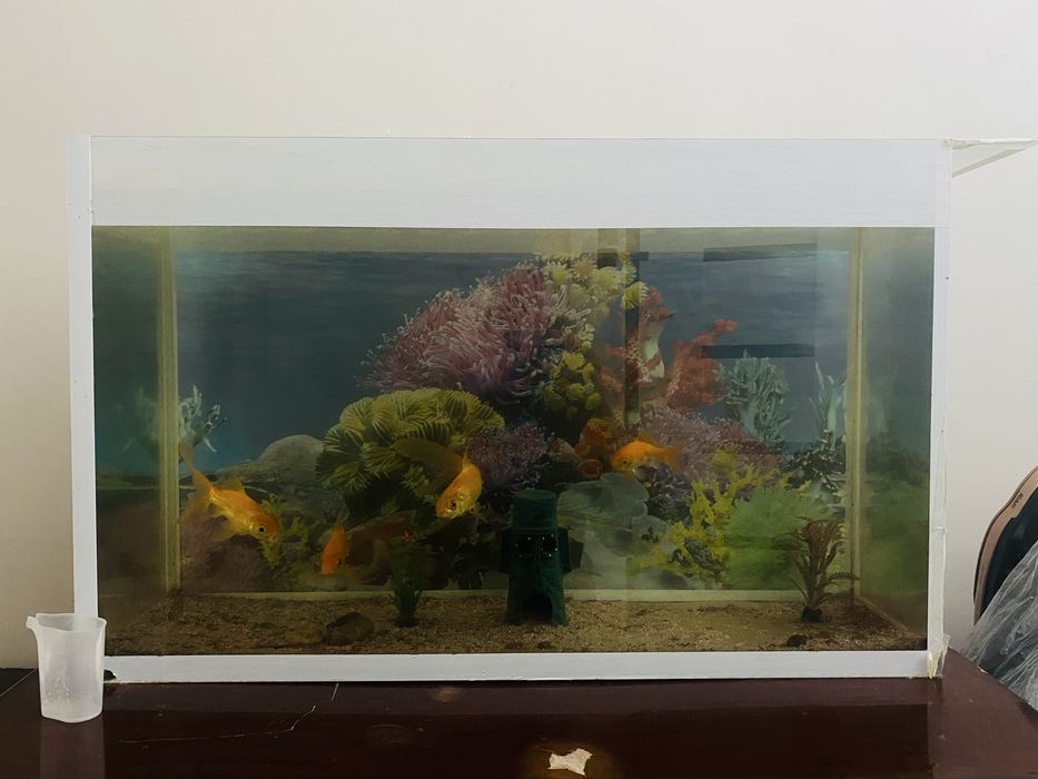 Аквариум с рыбками