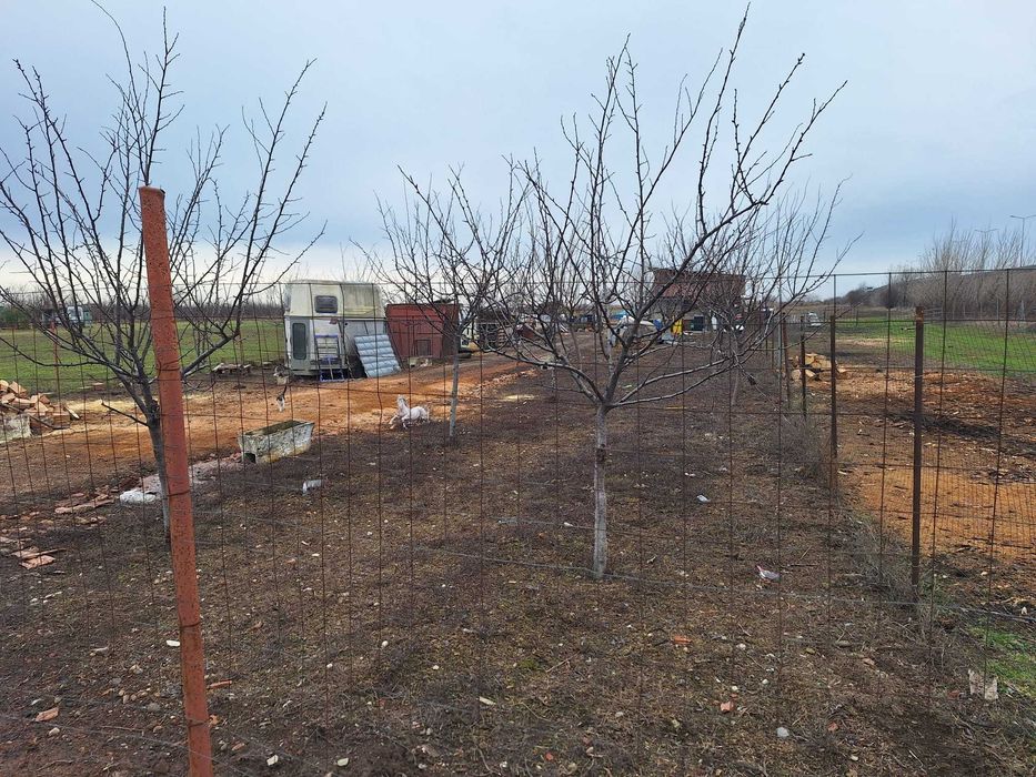 Vând teren extravilan 5.000 mp langa autostrada