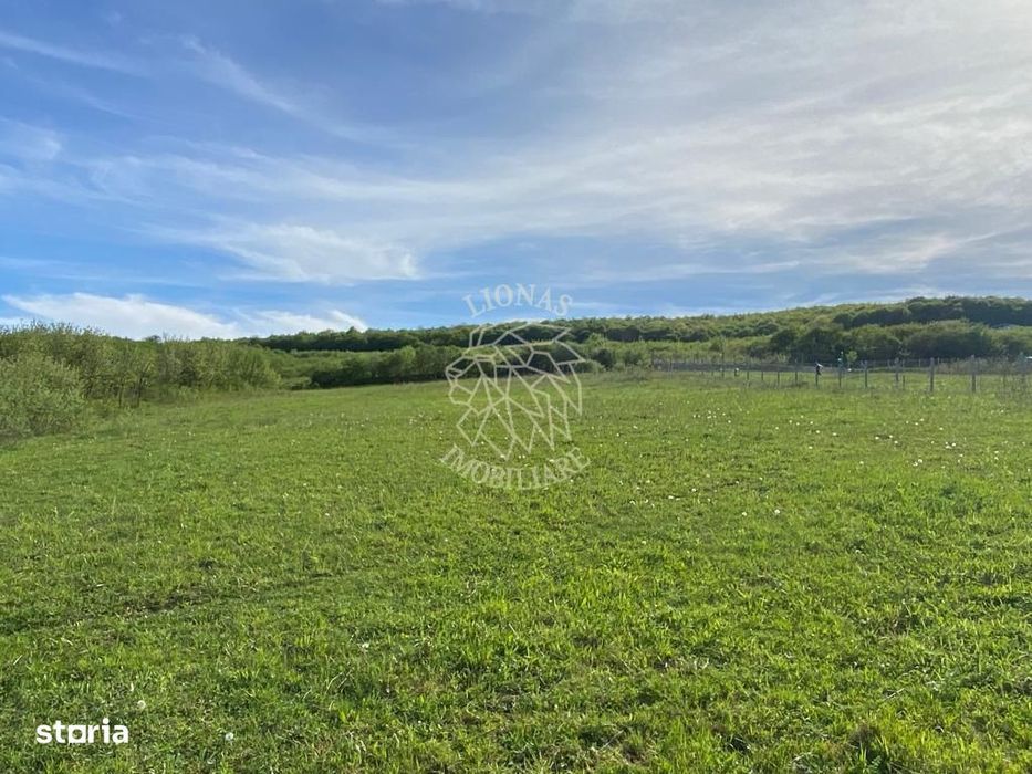 Teren 2160 mp - pretabil pentru cabana - investitie - Jelna