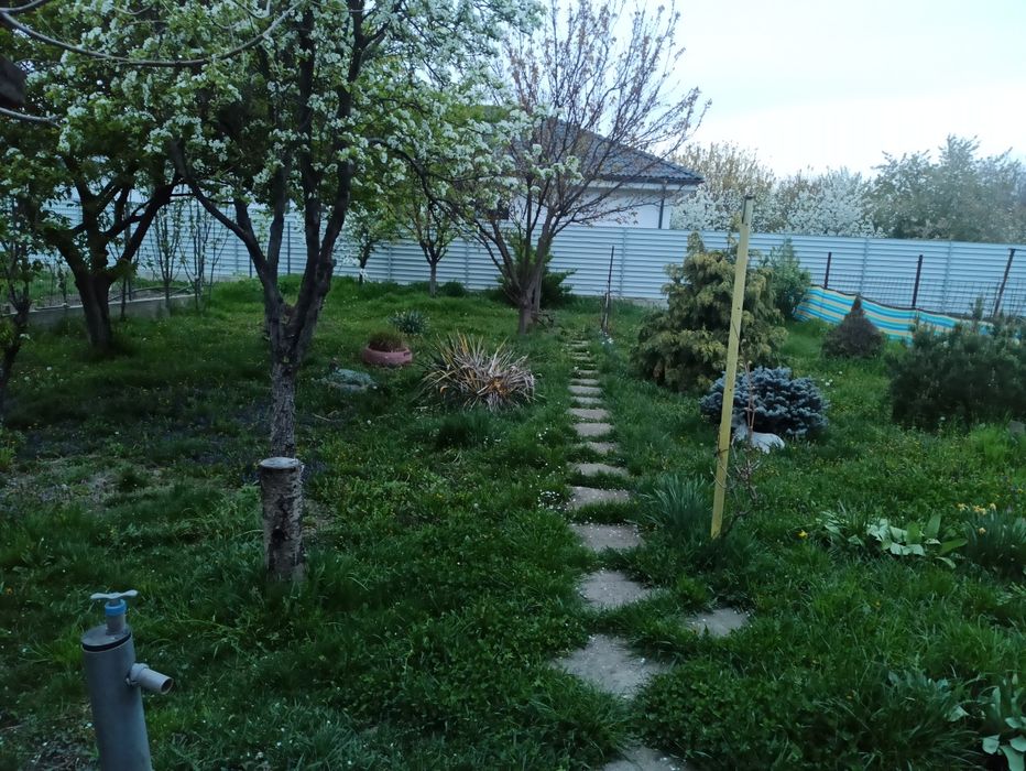 Vand casa 3 camere in bujac, 540 mp teren, nu accepta credit ipotecar