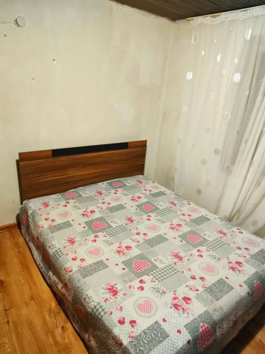 Стая под наем самостоятелна, стаи под наем