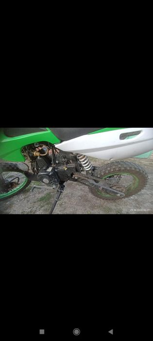 продам пит бай 300000