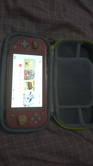 nintendo switch lite + sandisk ultra 512 gb