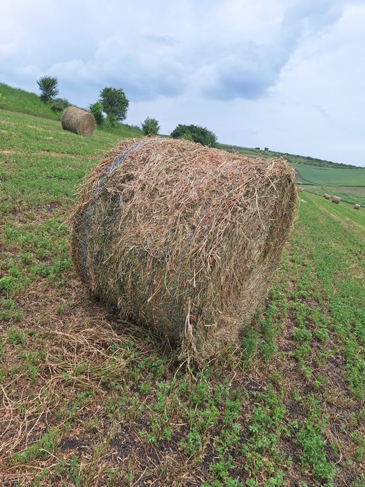 Baloti de lucerna de vanzare