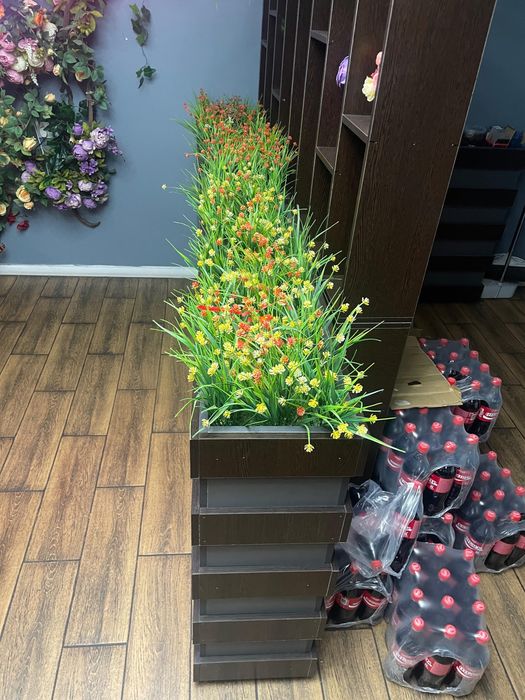 декор  цветов бағасы 15000