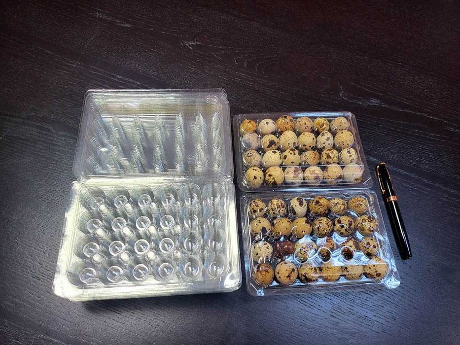 Cofraje caserole 12, 21, 24 si 30 oua prepelite pe stoc