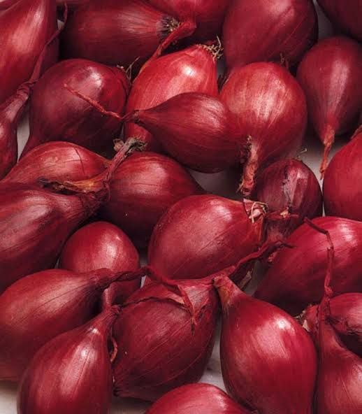 Arpagic roșu cultivat cu îngrășământ de grajd,bun de semănat,19 lei/kg