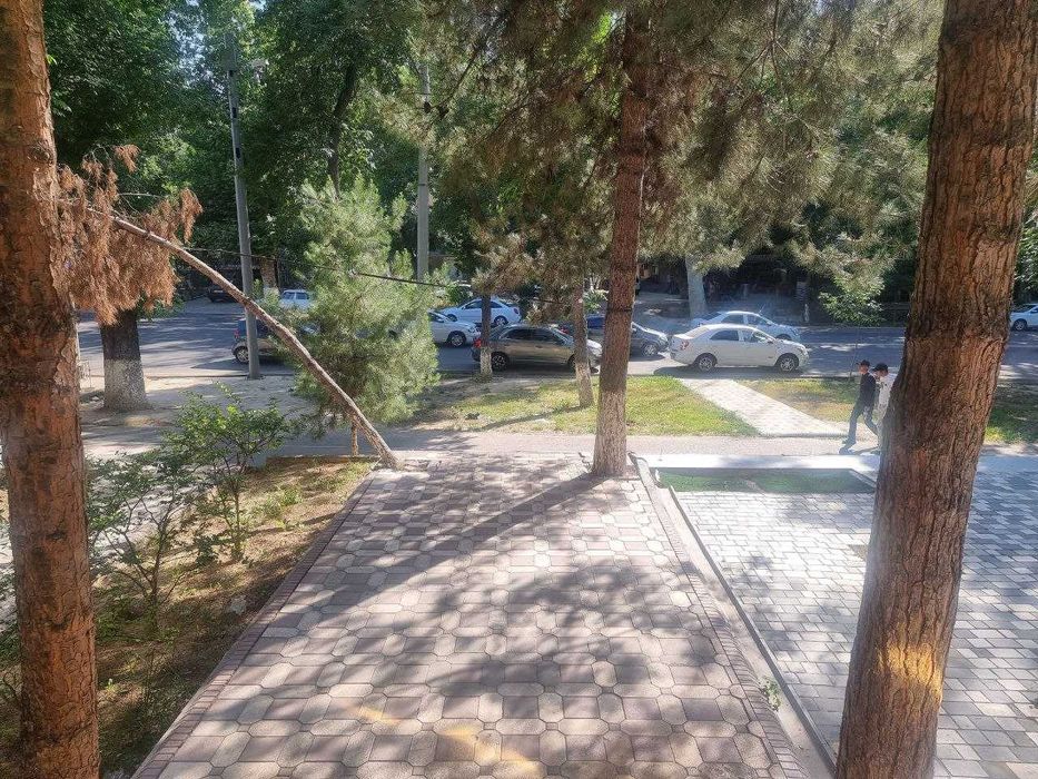 Сдается в аренду помещение 1 этаж возле дороги