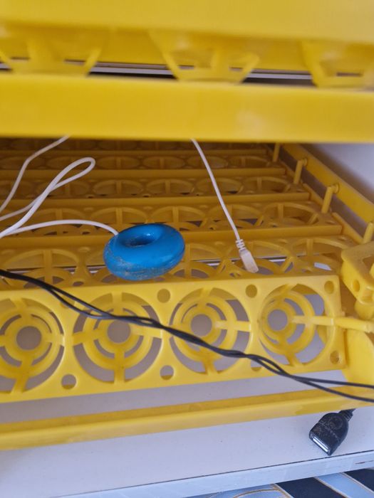 Incubator performant