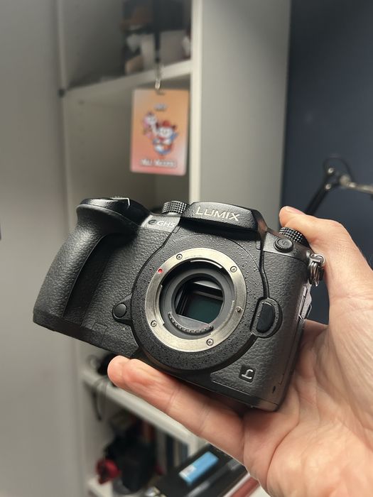 Panasonic Lumix GH5 + cage SmallRig