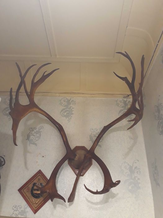 Продаётся Сувенир