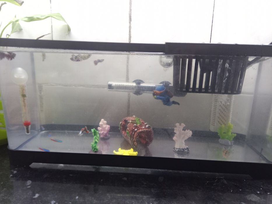 20 литр заводской аквариум