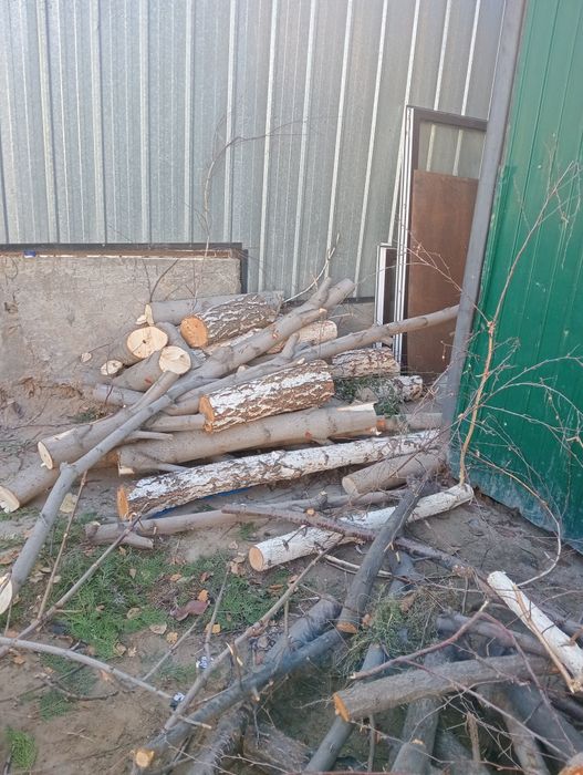 Продам дрова для бани разные