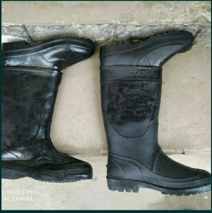 Сапоги резиновый