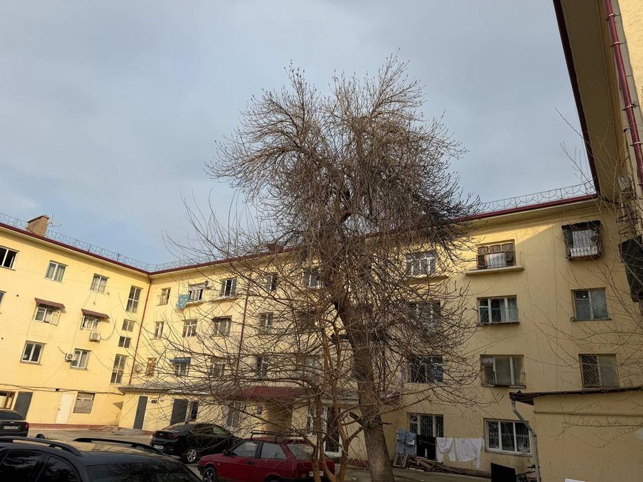 Юнусабад Ботанический сад 1/3/4