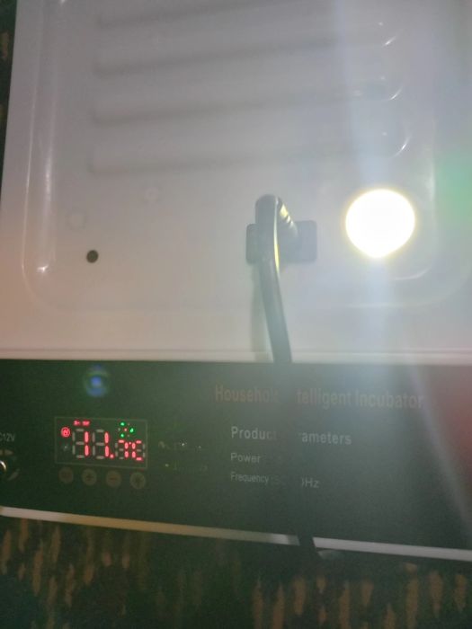 Сотилади  хитойнинг мининг инкубатор