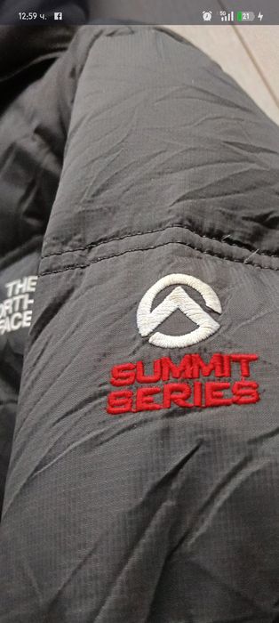 Мъжка парка THE NORTH FACE 900
