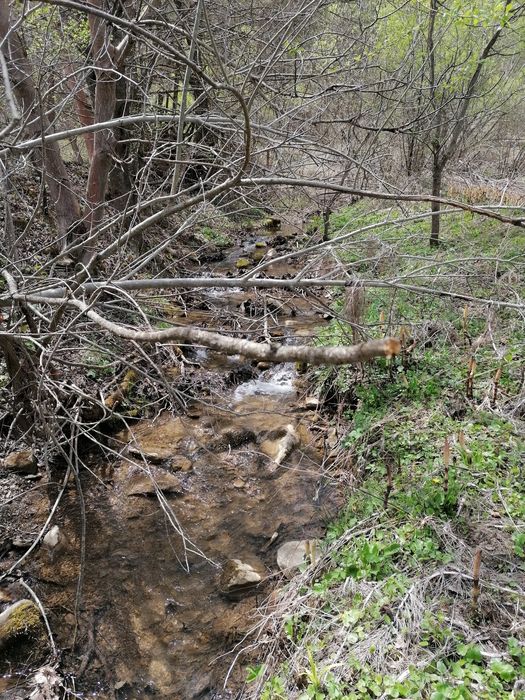 Продава се Къща в с. Ямна, Област София-област - 80 кв.м за 313 €/кв.м - Снимка #7