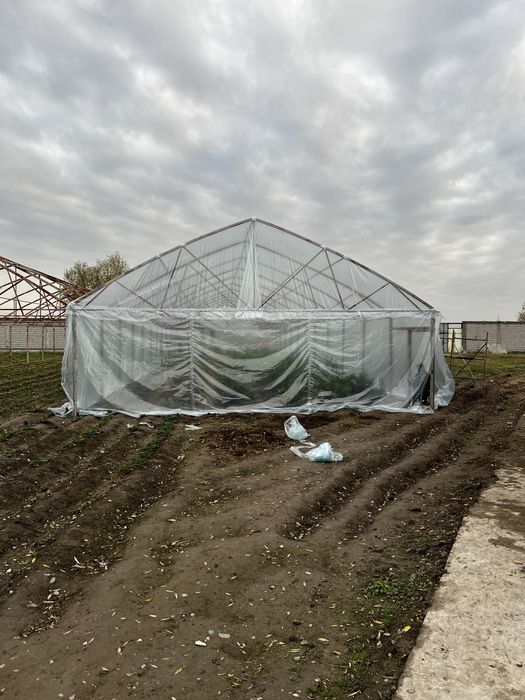 Иссик хона - Теплица