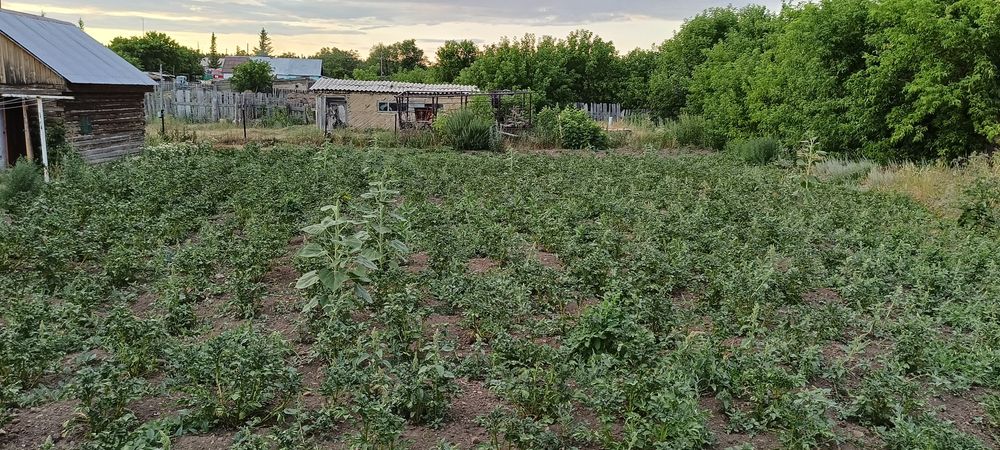 Продам отдельно стоящий дом