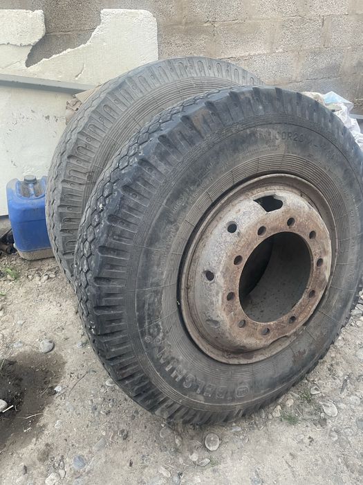 Dunlop contintal mishelen