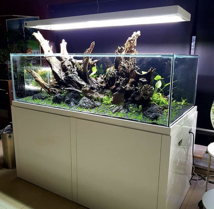 Дизайн аквариумов
