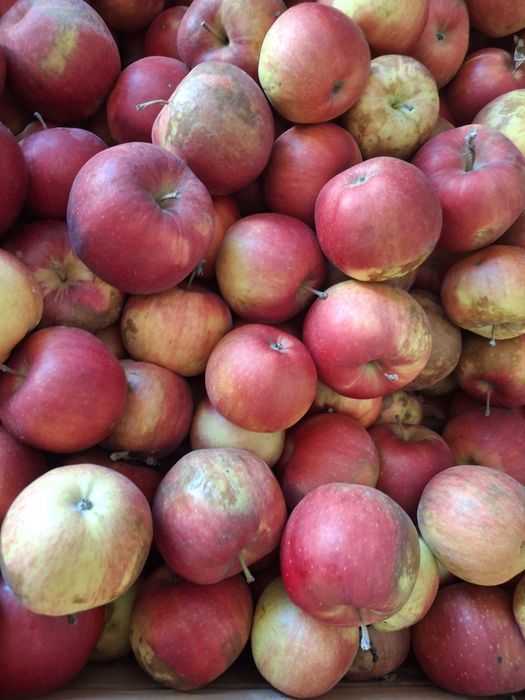 Mere de vanzare pentru gem,suc și rachiu calitate buna,preț avantajos